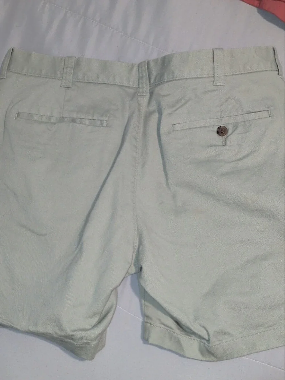J. Crew Men's Flat Front Shorts - Sage Green & Coral Size 33